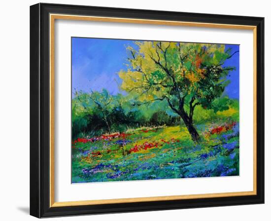 Oak Amid Flowers In Texas-Pol Ledent-Framed Art Print