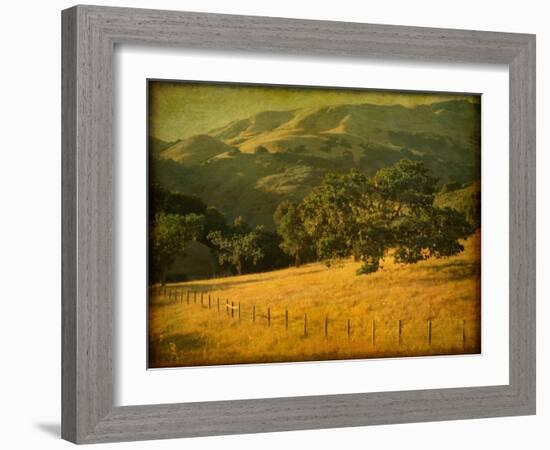 Oak and Fence-William Guion-Framed Photographic Print