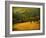 Oak and Fence-William Guion-Framed Photographic Print