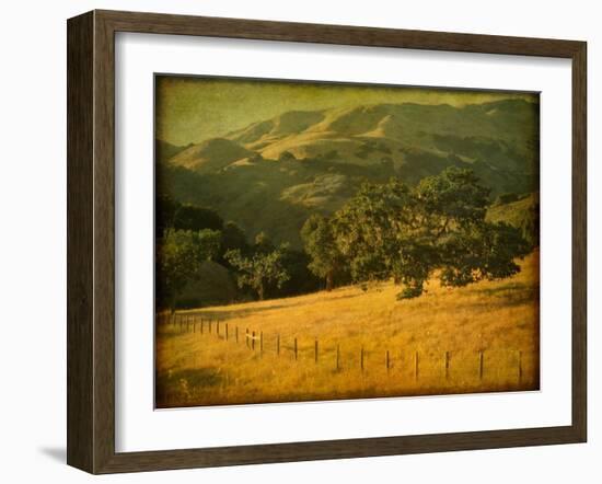 Oak and Fence-William Guion-Framed Photographic Print