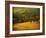 Oak and Fence-William Guion-Framed Photographic Print