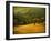 Oak and Fence-William Guion-Framed Photographic Print