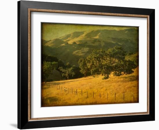 Oak and Fence-William Guion-Framed Photographic Print