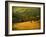 Oak and Fence-William Guion-Framed Photographic Print