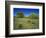 Oak and Mesquite Tree with Bluebonnets, Low Bladderpod, Texas Hill Country, Texas, USA-Adam Jones-Framed Photographic Print