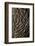 oak bark-By-Framed Photographic Print