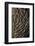 oak bark-By-Framed Photographic Print