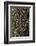 oak bark-By-Framed Photographic Print