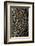 oak bark-By-Framed Photographic Print