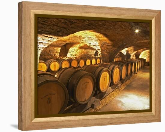 Oak Barrels in Cellar at Domaine Comte Senard, Aloxe-Corton, Bourgogne, France-Per Karlsson-Framed Premier Image Canvas