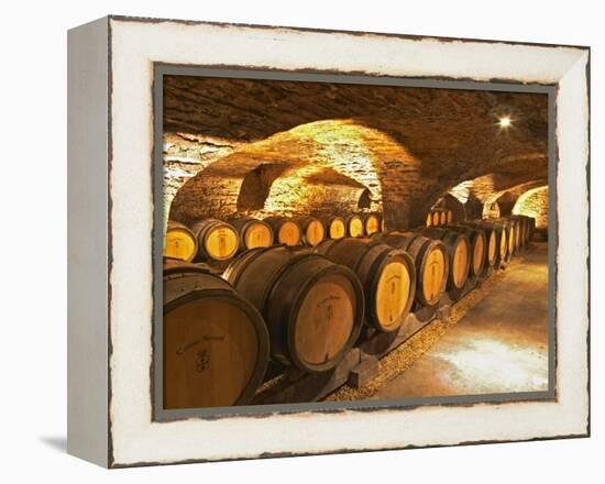 Oak Barrels in Cellar at Domaine Comte Senard, Aloxe-Corton, Bourgogne, France-Per Karlsson-Framed Premier Image Canvas