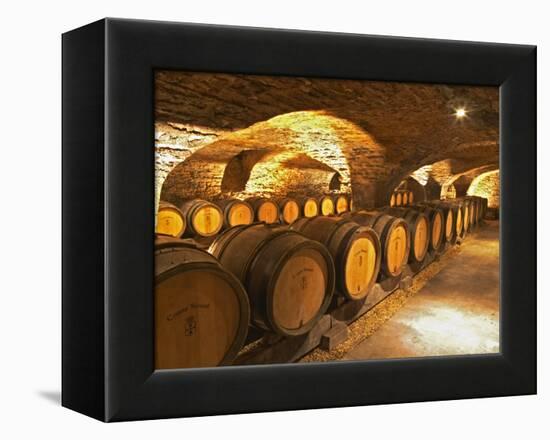 Oak Barrels in Cellar at Domaine Comte Senard, Aloxe-Corton, Bourgogne, France-Per Karlsson-Framed Premier Image Canvas