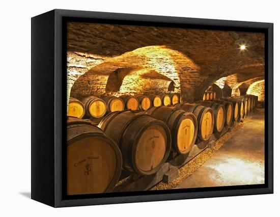 Oak Barrels in Cellar at Domaine Comte Senard, Aloxe-Corton, Bourgogne, France-Per Karlsson-Framed Premier Image Canvas