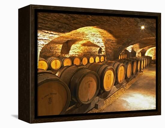 Oak Barrels in Cellar at Domaine Comte Senard, Aloxe-Corton, Bourgogne, France-Per Karlsson-Framed Premier Image Canvas