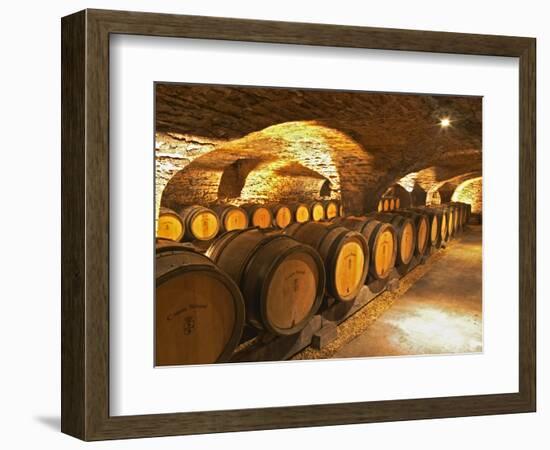 Oak Barrels in Cellar at Domaine Comte Senard, Aloxe-Corton, Bourgogne, France-Per Karlsson-Framed Photographic Print