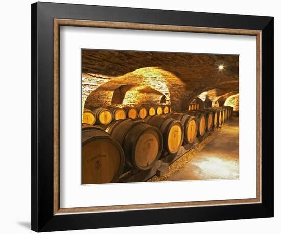 Oak Barrels in Cellar at Domaine Comte Senard, Aloxe-Corton, Bourgogne, France-Per Karlsson-Framed Photographic Print