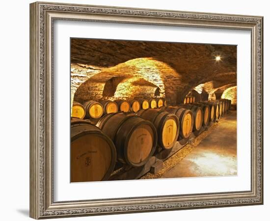 Oak Barrels in Cellar at Domaine Comte Senard, Aloxe-Corton, Bourgogne, France-Per Karlsson-Framed Photographic Print