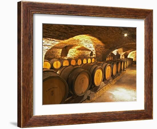 Oak Barrels in Cellar at Domaine Comte Senard, Aloxe-Corton, Bourgogne, France-Per Karlsson-Framed Photographic Print