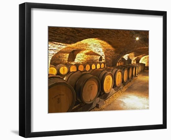 Oak Barrels in Cellar at Domaine Comte Senard, Aloxe-Corton, Bourgogne, France-Per Karlsson-Framed Photographic Print