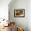 Oak Barrels in Cellar at Domaine Comte Senard, Aloxe-Corton, Bourgogne, France-Per Karlsson-Framed Photographic Print displayed on a wall