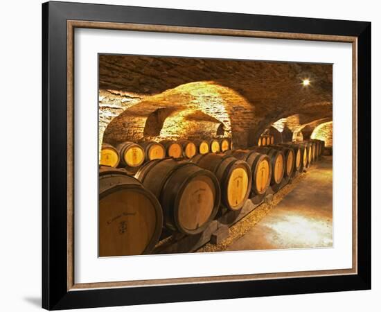 Oak Barrels in Cellar at Domaine Comte Senard, Aloxe-Corton, Bourgogne, France-Per Karlsson-Framed Photographic Print