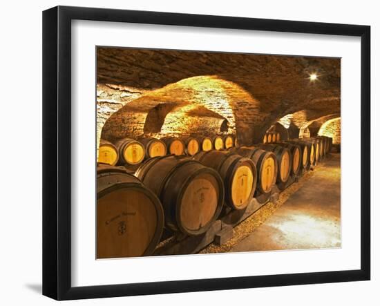 Oak Barrels in Cellar at Domaine Comte Senard, Aloxe-Corton, Bourgogne, France-Per Karlsson-Framed Photographic Print