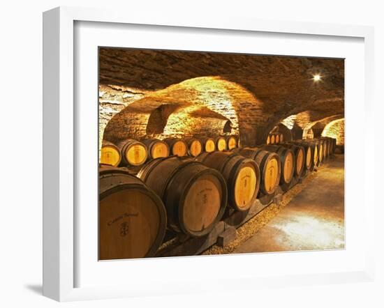 Oak Barrels in Cellar at Domaine Comte Senard, Aloxe-Corton, Bourgogne, France-Per Karlsson-Framed Photographic Print