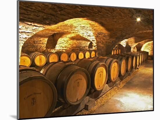 Oak Barrels in Cellar at Domaine Comte Senard, Aloxe-Corton, Bourgogne, France-Per Karlsson-Mounted Photographic Print