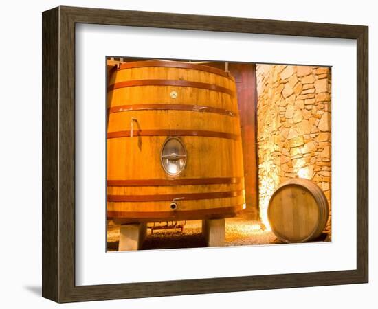 Oak Barrels, Juanico Winery, Uruguay-Stuart Westmoreland-Framed Photographic Print