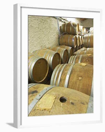 Oak Barrique Barrels with Fermenting White Wine, Jute Chateau Belingard, Bergerac, Dordogne, France-Per Karlsson-Framed Photographic Print