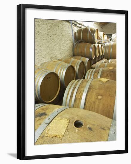 Oak Barrique Barrels with Fermenting White Wine, Jute Chateau Belingard, Bergerac, Dordogne, France-Per Karlsson-Framed Photographic Print