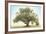 Oak & Blue Sky-William Guion-Framed Art Print