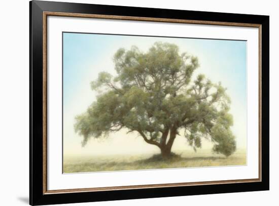 Oak & Blue Sky-William Guion-Framed Art Print