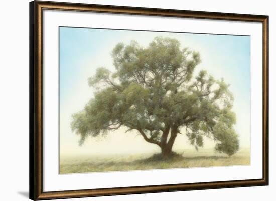 Oak & Blue Sky-William Guion-Framed Art Print