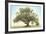 Oak & Blue Sky-William Guion-Framed Art Print