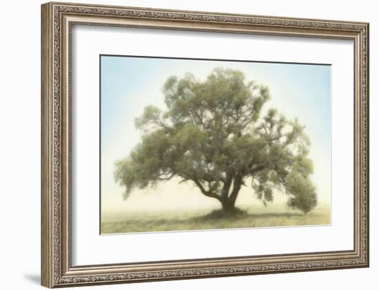 Oak & Blue Sky-William Guion-Framed Giclee Print