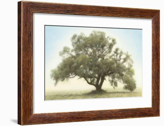 Oak & Blue Sky-William Guion-Framed Giclee Print