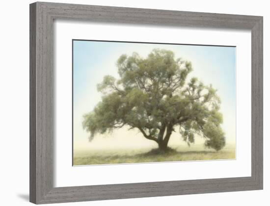 Oak & Blue Sky-William Guion-Framed Giclee Print