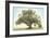 Oak & Blue Sky-William Guion-Framed Giclee Print