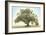 Oak & Blue Sky-William Guion-Framed Giclee Print