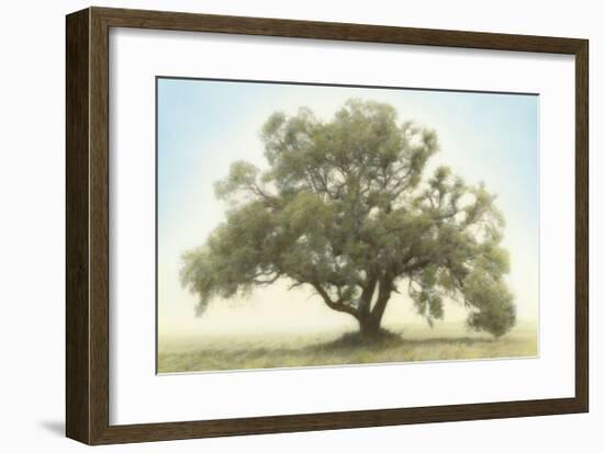 Oak & Blue Sky-William Guion-Framed Giclee Print