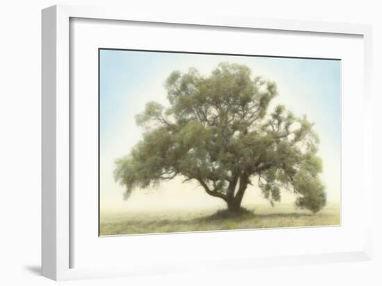 Oak & Blue Sky-William Guion-Framed Giclee Print