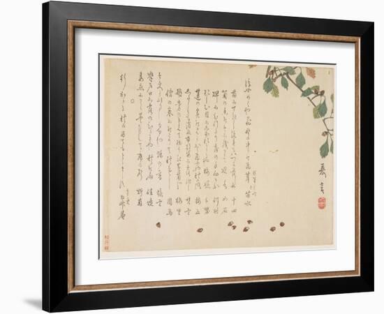 Oak Branch and Acorns-Murata Kagen-Framed Giclee Print