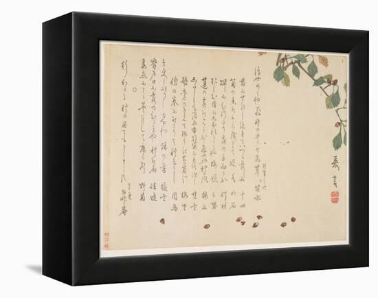 Oak Branch and Acorns-Murata Kagen-Framed Premier Image Canvas