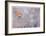 Oak Creek Canyon-Donald Paulson-Framed Giclee Print