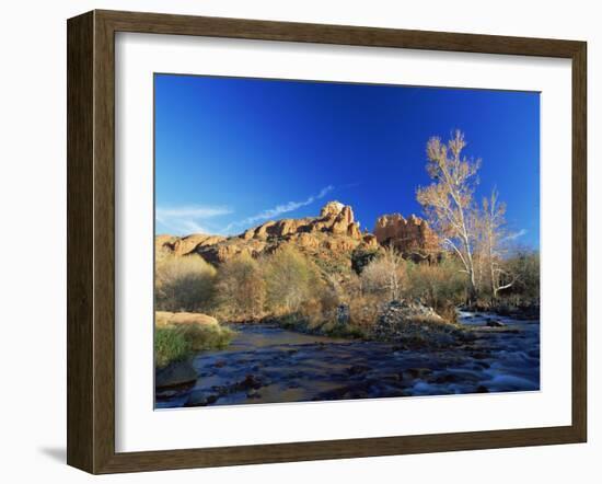 Oak Creek Running Before Cathedral Rocks, Red Rock Crossing, Sedona, Arizona, USA-David Welling-Framed Photographic Print