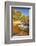 Oak Creek, Slide Rock State Park, Sedona, Arizona, Usa-Michel Hersen-Framed Photographic Print