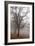 Oak forest in fog in autumn, Romania.-Martin Zwick-Framed Photographic Print