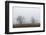 Oak forest in fog in autumn.-Martin Zwick-Framed Photographic Print