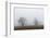 Oak forest in fog in autumn.-Martin Zwick-Framed Photographic Print